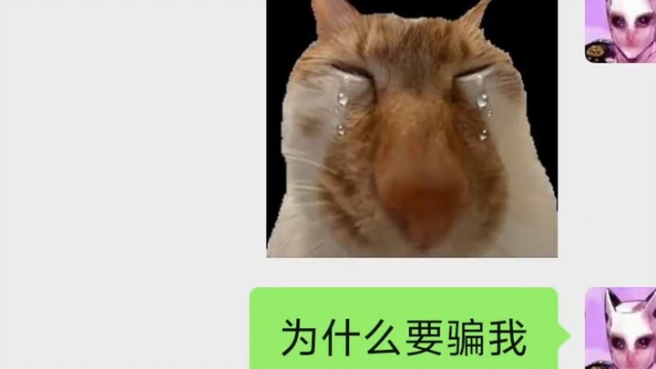 Sister, I hate you