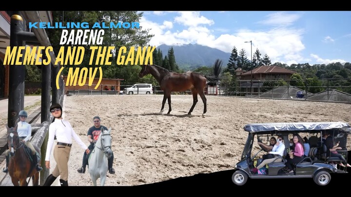 BERKUDA BARENG MEMES PRAMESWARI AND MOV GANK ! DI ALMOR STABLE