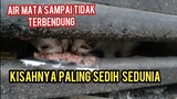 Kisah Anak Kucing Paling Sedih Di Lahirkan Di Jalanan Numpang Neduh Di Toko Bangunan..!