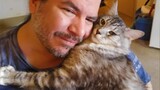 Funny Cat and Their Human will make you EXPLODE LAUGHING