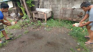 pwede na siguro