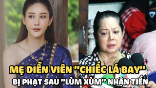 Mẹ diễn viên 'Chiếc lá bay': Bị phạt sau “lùm xùm” nhận tiền bồi thường 21 tỷ?