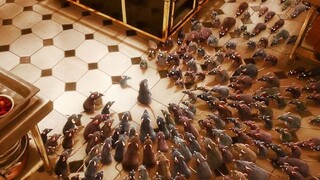 Animation: A swarm of rats rushed into the kitchen. Instead of stealing or robbing, they washed thei