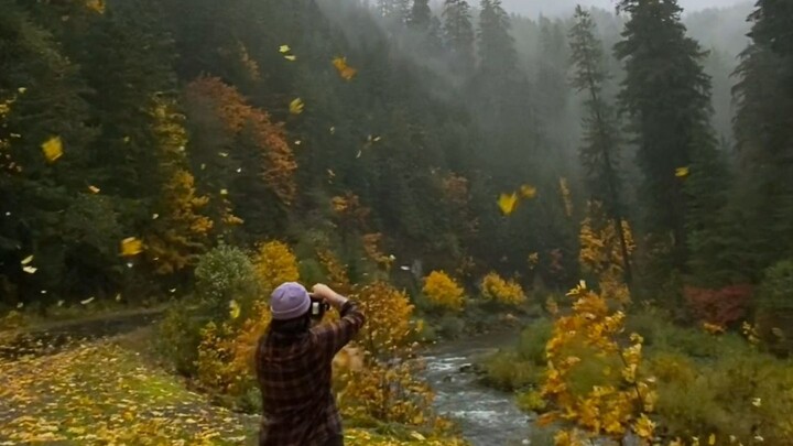 "The wind already smells like winter, so let's say goodbye to autumn."