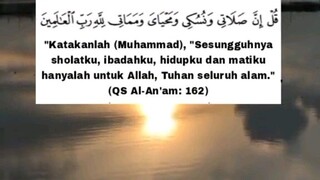 Full halal ✅