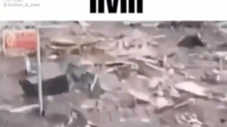 nvm