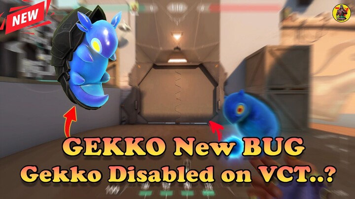 VALORANT New Gekko Bug In Game | Valorant Updates |  @AvengerGaming71