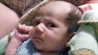 พยายามอย่าหัวเราะ - Funny Baby Fails Compilation AFV