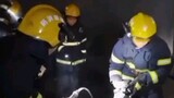 Hero fireman saves dog.