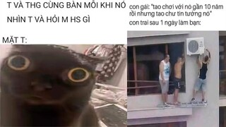 ảnh chế meme thiếu muối #58 || NTM AC