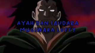 Inilah Ayah Dan Saudara Luffy!