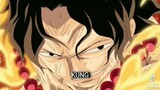ace in luffy hello I'm new