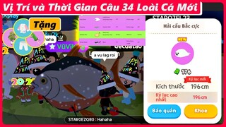 Play Together | Chi Tiết Vj Trí và Thời Gian Câu 34 Loài Cá Mới, Mẹo đổi Sớm Khí Cầu Choco