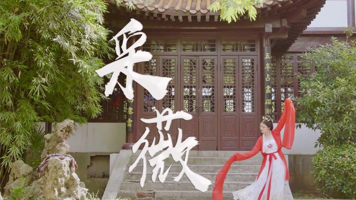 【采薇】昔我往矣 杨柳依依 | 舞蹈MV