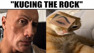 Kucing The Rock Eyebrow...