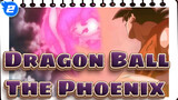 [Dragon Ball AMV]The Phoenix_2