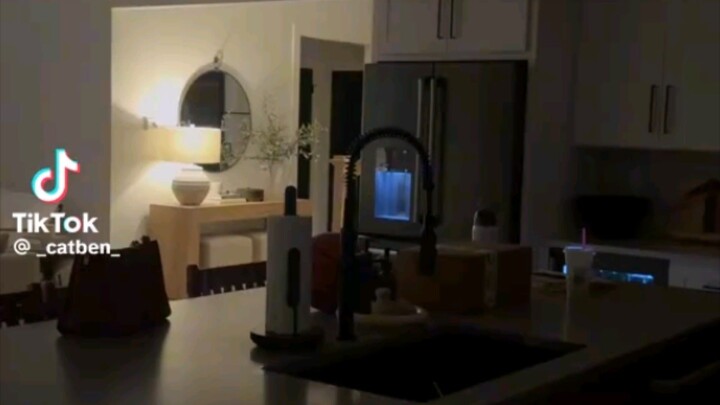 ASMR (CLEANING HOUSE)