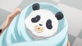 Baby Panda Cute Moment | Jujutsu Kaisen