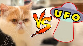 Cats vs UFO (The Happy Pets #21)