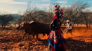 Teacher Yang Liping dances on the red soil of Yunnan