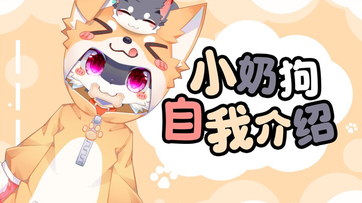震惊！某只狗狗肯发自我介绍的原因竟然是（）