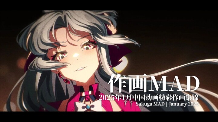 【作画MAD】2025年1月 中国动画精彩作画集锦