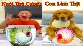 Thú Cưng TV | Đa Đa Thánh Chế #8 | Chó Golden Gâu Đần thông minh vui nhộn | Pets cute smart dog