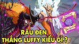 Không Có Haki Bá Vương, Râu Đen Chiến Thắng Luffy Kiểu Gì ? | Phân Tích One Piece
