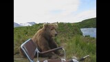 Bear Sits Next To Guy - Truly Heart-warming