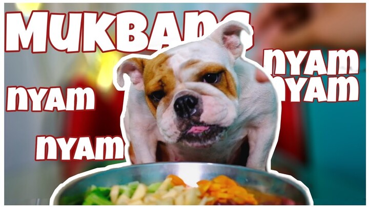 BULLDOG MUKBANG | rakus bener
