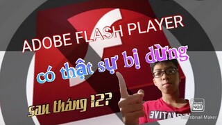 Có thể đây là lần cuối tôi chơi game có flash(hãy phân tích từ có thể)