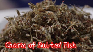 Charm of Salted Fish