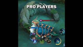 Regular Players versus Pro Players
