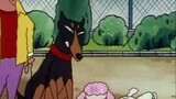 "Crayon Shin-chan" dog looks like its owner, the ending is shocking