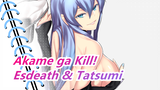 [Akame ga Kill!] Dunia Hanya Milik Esdeath & Tatsumi