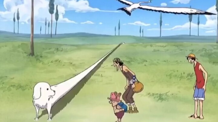 Luffy teaches you to train all kinds of dogs