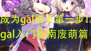 【gal杂谈】找不到资源？不知道该推哪些作品？一期视频解决你对galgame的所有疑问！——gal入门指南废萌篇