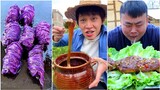 Cuộc Sống và Những Món Ăn Rừng Núi Trung Quốc P44 || Tik Tok Trung Quốc