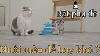 [CatLog 1] Nuôi mèo có khó không ? Xem trước khi quyết định nuôi một bé mèo. Phụ đề tiếng Việt