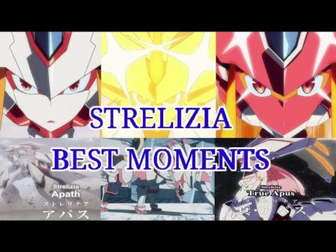 Strelizia Best Moments Darling In The Franxx Bilibili