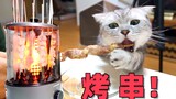 买全自动烤串机给猫烤串，家里猫都馋疯了！天下竟有如此美味！