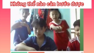 Không thể nào cản bước được