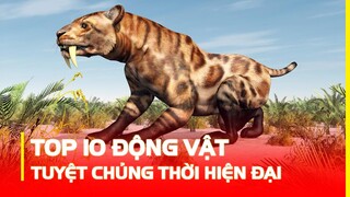 Hoá Ra Đây Chính Là 10 Loài Động Vật Đã TUYỆT CHỦNG Thời Hiện Đại