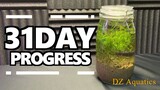1 Month Eco Jar - Sprite Jar - DZ Aquatics