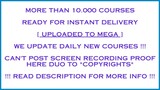 N8 University - Become A Full-Time Youtuber Course Premium Torrent
