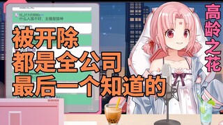 【扇宝】高龄之花扇宝孤立了全公司