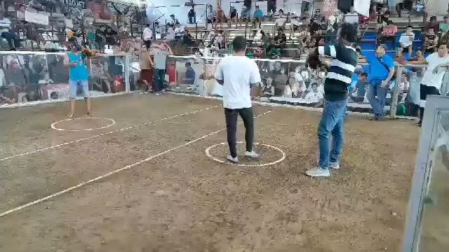 3cock derby champion (2nd Fight)