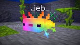 จะเกิดอะไรขึ้นเมื่อ axolotl ชื่อ jeb_ ในเวอร์ชัน 1.17? (บุคคลที่ไม่มีชื่อ)