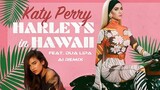 Katy Perry & Dua Lipa - Harleys In Hawaii (AI Remix)