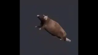 original rat spinning meme